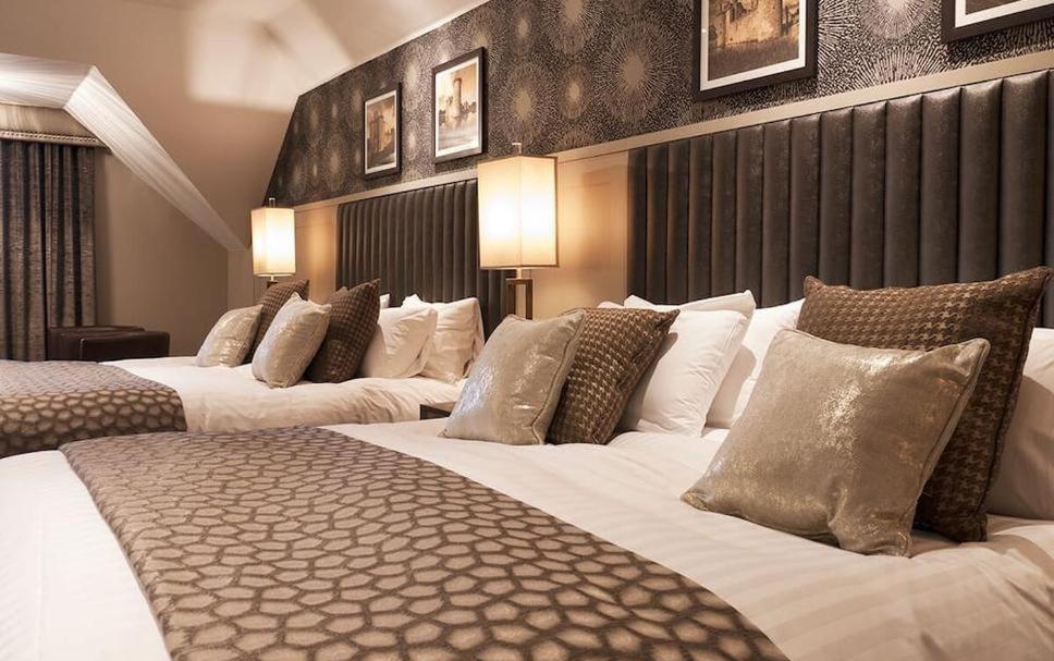 Hotel Tulip Near Delhi Airport نيودلهي الغرفة الصورة